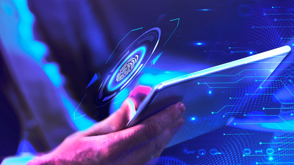 Financial risk and fraud